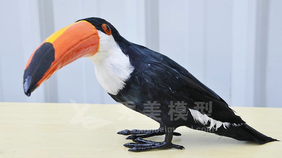 動物模型-巨嘴鳥模型|秀美模型